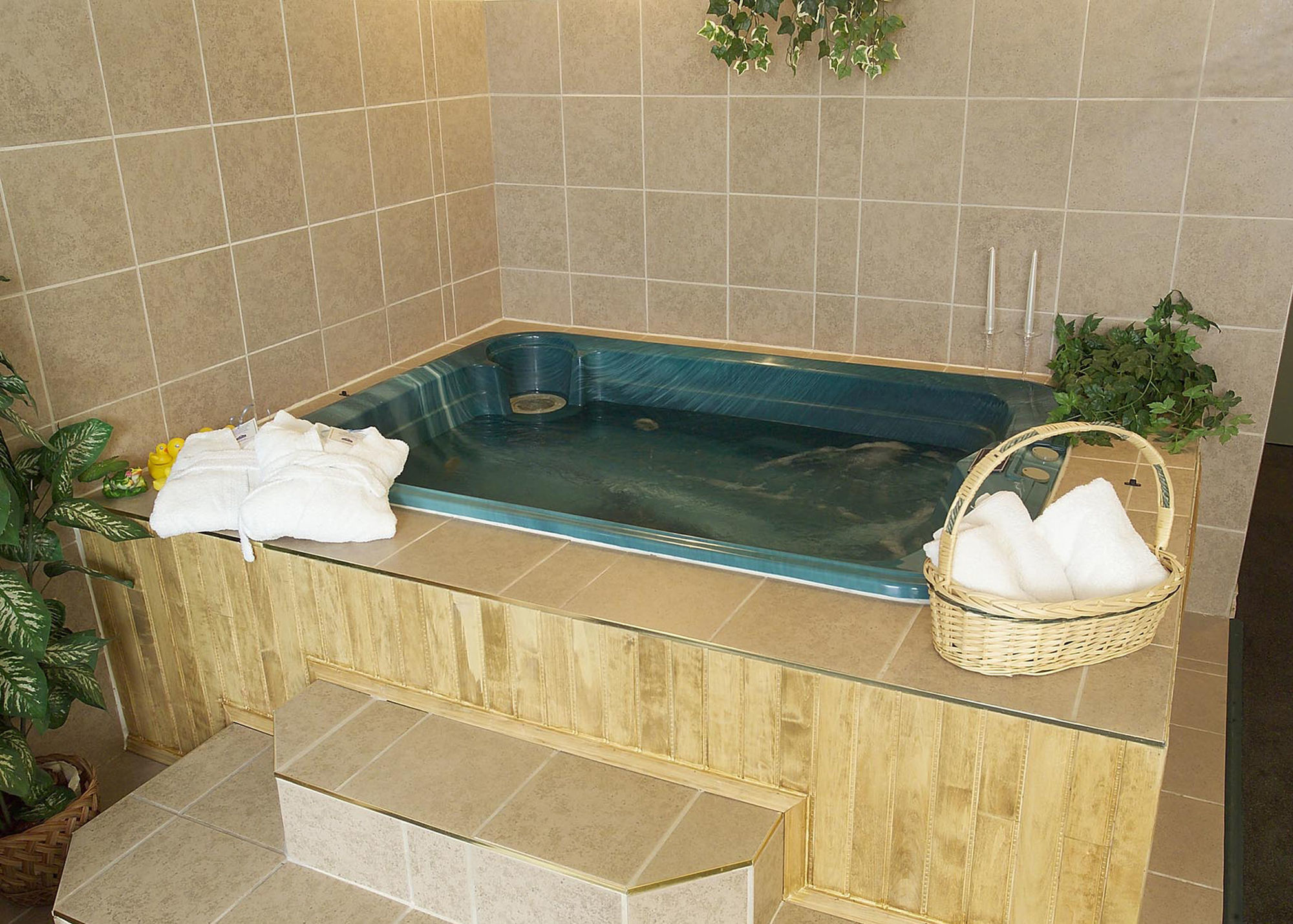 Quality Inn & Suites Батерст Екстер'єр фото
