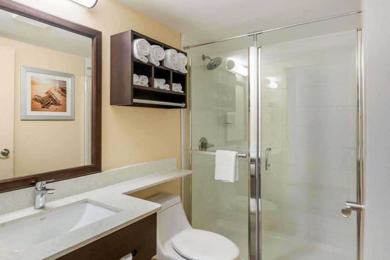 Quality Inn & Suites Батерст Екстер'єр фото