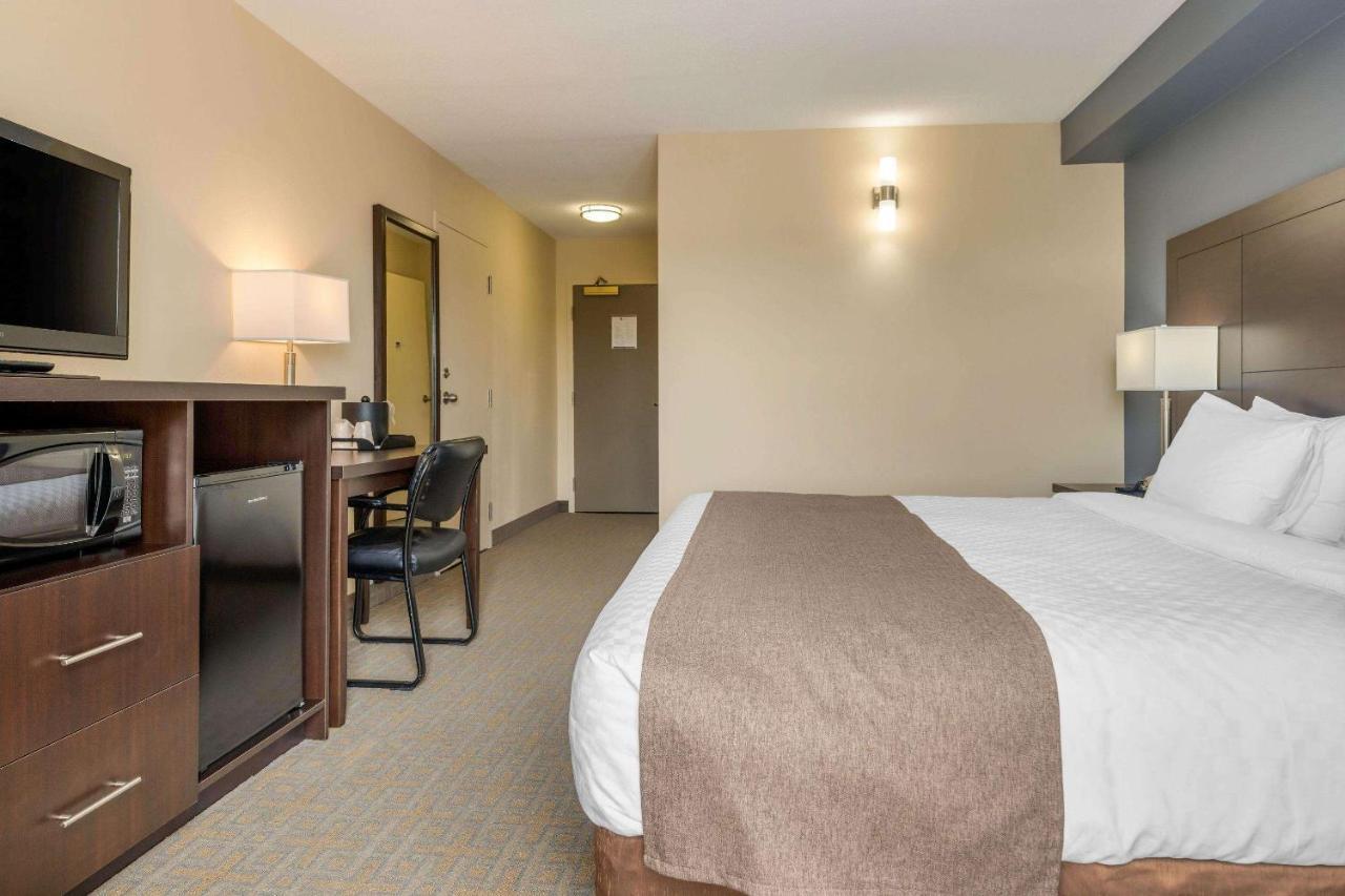 Quality Inn & Suites Батерст Екстер'єр фото